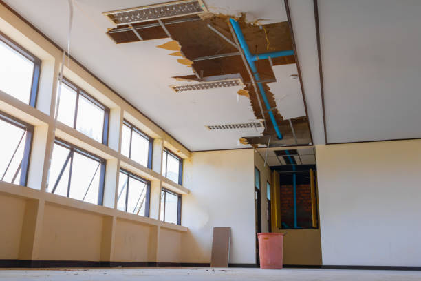 Best Water damage cleanup near me  in Wayland, IA
