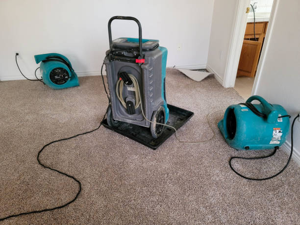 Best Flood restoration services  in Wayland, IA