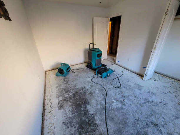 Best 24-hour water damage restoration  in Wayland, IA