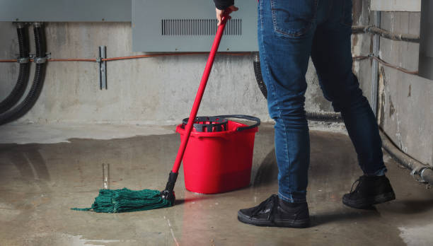 Best Water damage cleanup near me  in Wayland, IA
