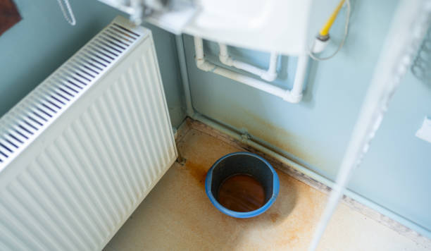  Wayland, IA Water damage restoration Pros