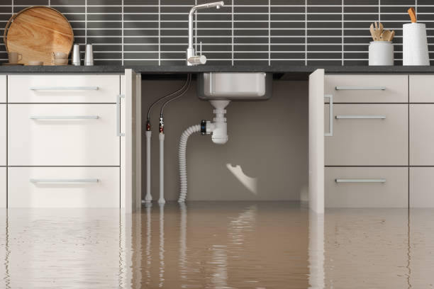 Best 24-hour water damage restoration  in Wayland, IA