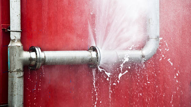Best Local water damage restoration  in Wayland, IA