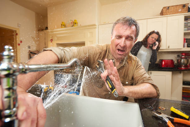 Best Water damage restoration near me  in Wayland, IA